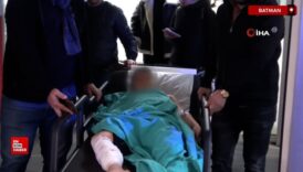 batmanda ailesiyle piknige giden cocuga sokak kopekleri saldirdi Byzz9wcq