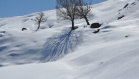batmanda kar yagisi yuksek kesimlerde etkili oldu Ej8NO2wu