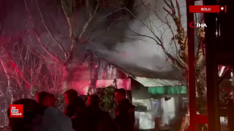 Bolu'da ev ve ahır alev alev yandı: 4 hayvan telef oldu 1 boluda ev ve ahir alev alev yandi 4 hayvan telef oldu QMbJUmmu