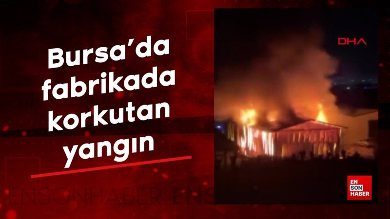 Bursa'da fabrikada korkutan yangın 1 bursada fabrikada korkutan yangin dnAejVus