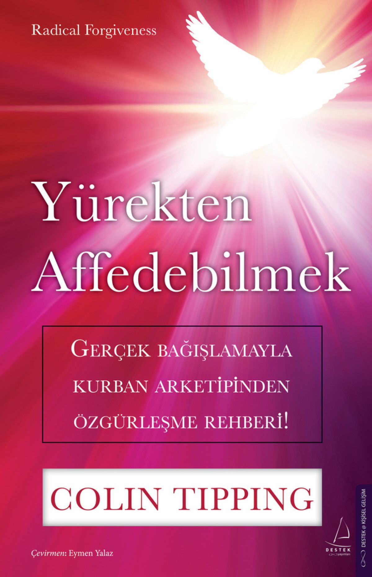 colin tippingden devrim niteliginde bes asamali affetme sureci 0 8rONtWHE