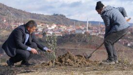 corumda dogan her bebek icin fidan dikilen koy nKRM34Cc