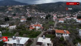 datcada badem agaclari cicek acti 5CRAKBp9