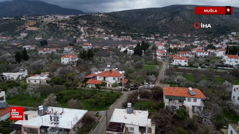 Datça'da badem ağaçları çiçek açtı 1 datcada badem agaclari cicek acti 5CRAKBp9
