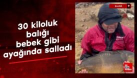 elazigda tuttugu 30 kiloluk baligi bebek gibi ayaginda sallayip ninni soyledi aKkt8J4r