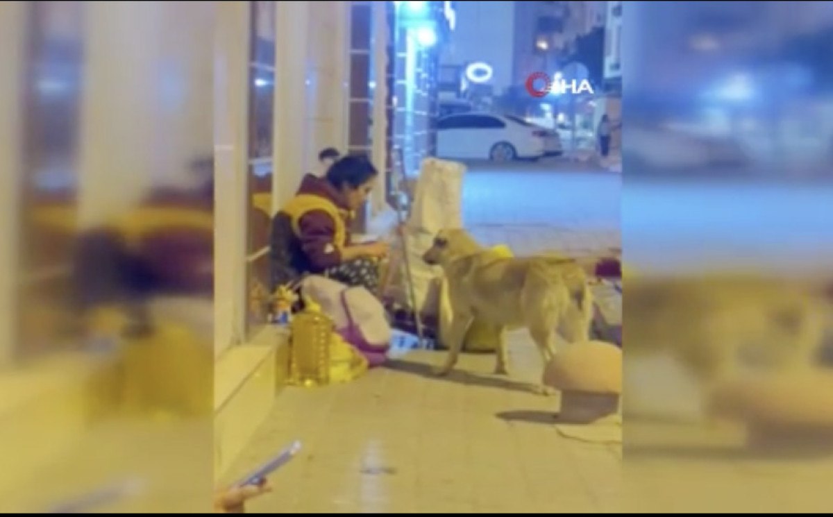 hatayda bir kadin yemegini sokak kopegiyle paylasti 0 Ja88I1aP