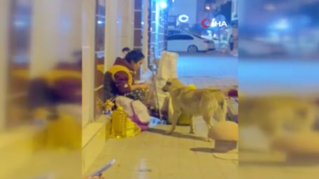 hatayda bir kadin yemegini sokak kopegiyle paylasti UZT2C2qU