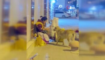hatayda bir kadin yemegini sokak kopegiyle paylasti UZT2C2qU