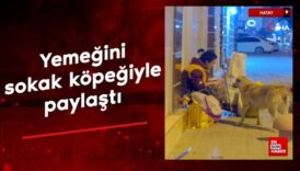 hatayda yemegini sokak kopegi ile paylasan kadin yurekleri isitti JB2qjl1B