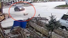 kastamonuda kopege carpan surucunun umursamazligi kameralara yansidi TYv47LTs