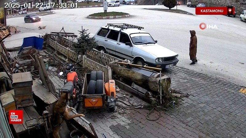 Kastamonu'da köpeğe çarpıp yoluna devam etti 1 kastamonuda kopege carpip yoluna devam etti