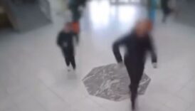 kosovada okula giren kopek ogrencilere saldirdi 1GStJ3tG