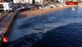 marmara denizinde musilaj yeniden goruldu qDVZjm2q