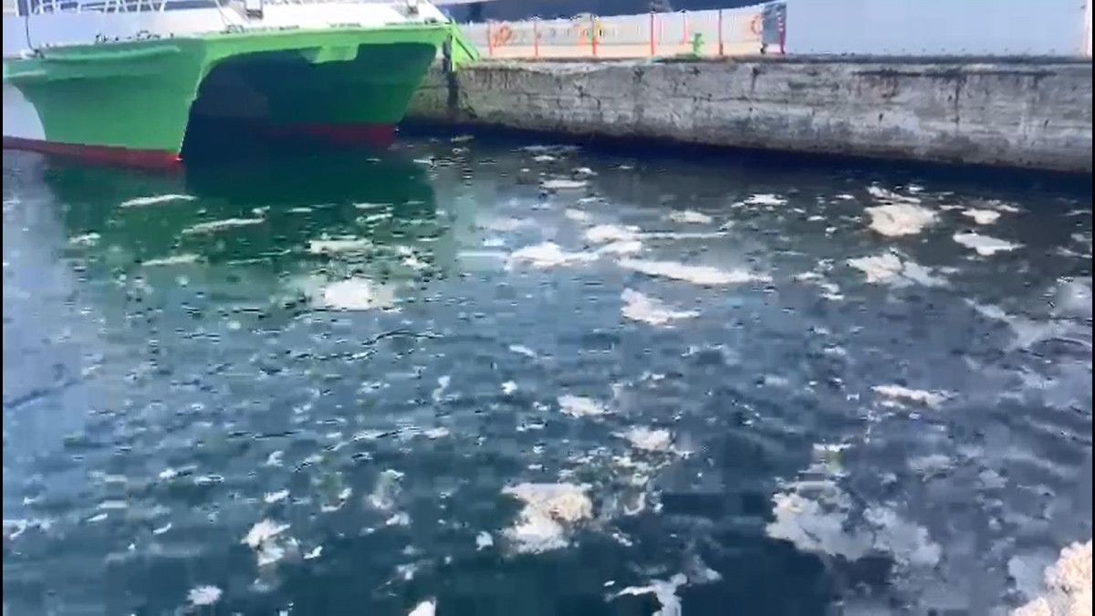 marmarada musilaj geri dondu mudanyada balikcilarin aglari zarar goruyor 1