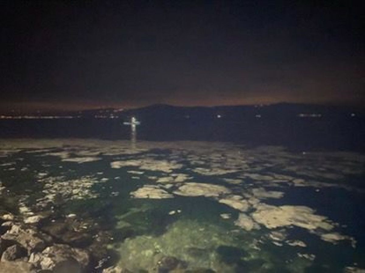 marmarada musilaj geri dondu mudanyada balikcilarin aglari zarar goruyor 7 gvzhvv4R