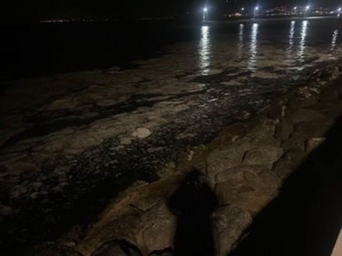 marmarada musilaj geri dondu mudanyada balikcilarin aglari zarar goruyor 8 SZEXUTR8