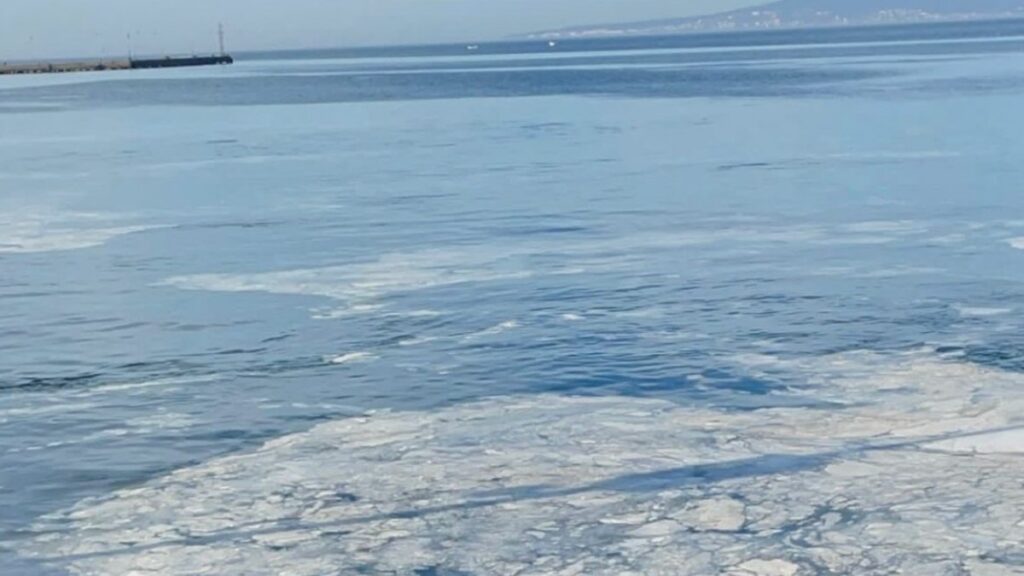 marmarada musilaj geri dondu mudanyada balikcilarin aglari zarar goruyor XqVfaXlw
