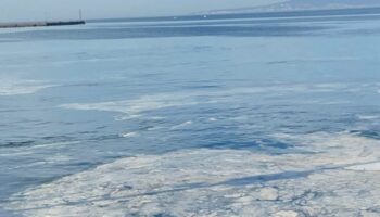 marmarada musilaj geri dondu mudanyada balikcilarin aglari zarar goruyor XqVfaXlw
