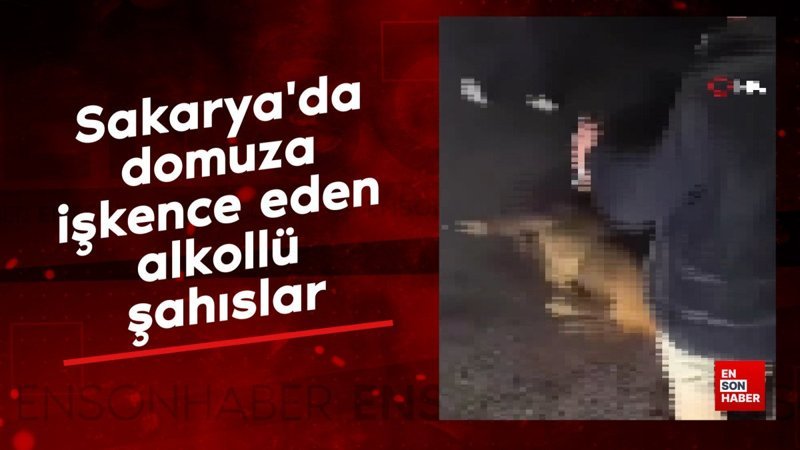 sakaryada domuza iskence eden alkollu sahislar 9Yu7HXrl