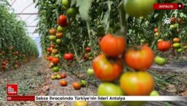 sebze ihracatinda turkiyenin lideri antalya 6vgIlu7O
