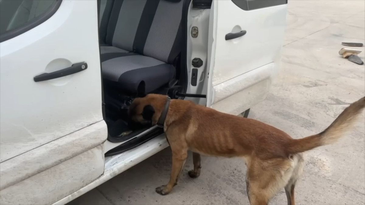 sirnakta 20 kilo uyusturucu ele gecirildi 0 IC1yWEJu