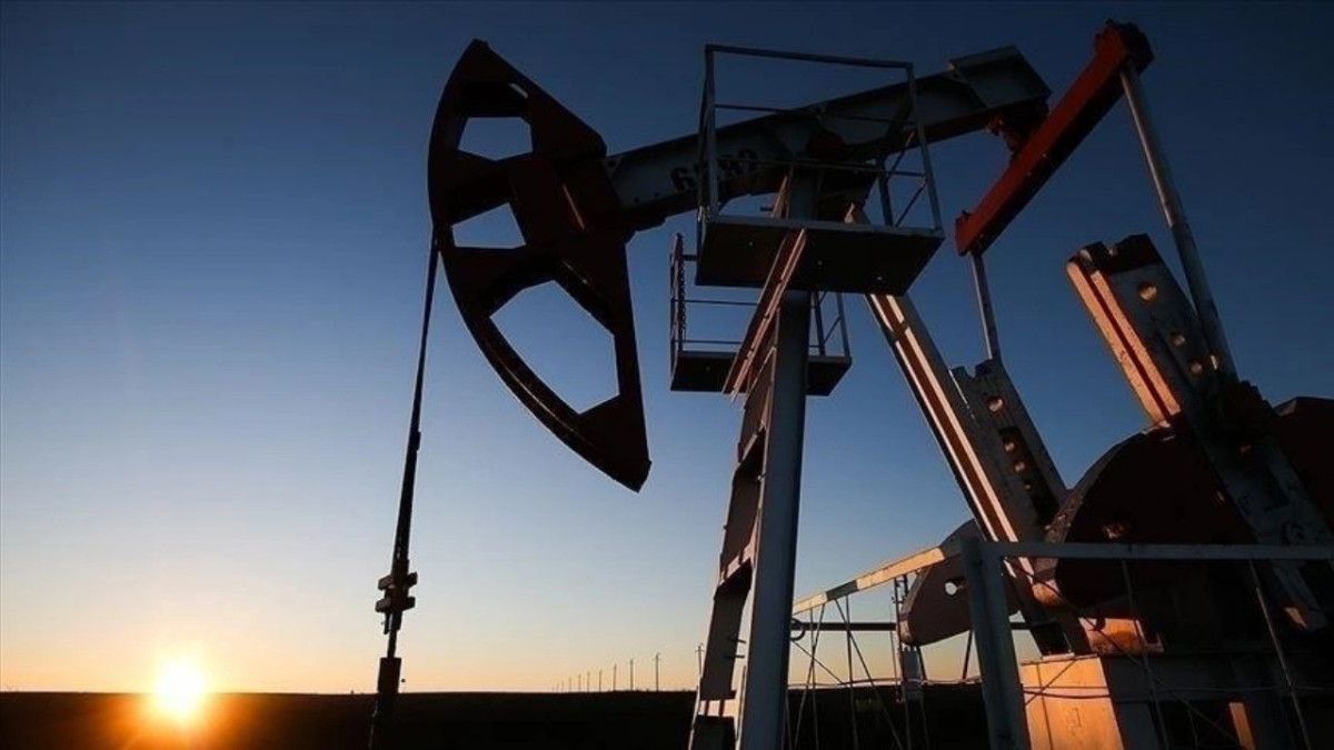tpaonun petrol arama ruhsatlari uzatildi 0 aCDkrMpG