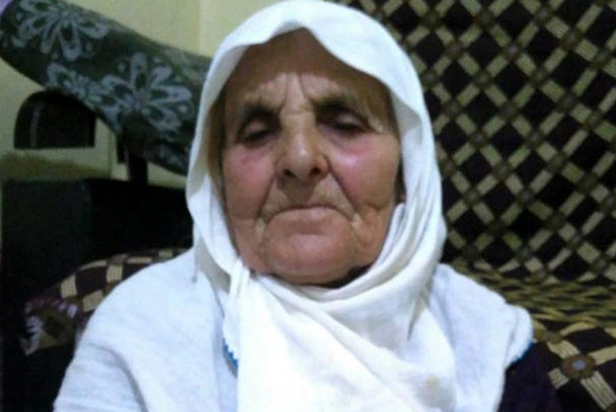 antalyada saldirdiklari kadini olduren kopeklerin sahibine hapis cezasi 0