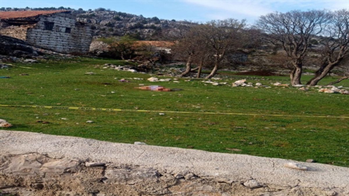 antalyada saldirdiklari kadini olduren kopeklerin sahibine hapis cezasi 1 YYhk4haK