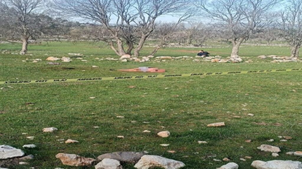antalyada saldirdiklari kadini olduren kopeklerin sahibine hapis cezasi 1CWhV565
