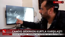 erzincanda muezzin mahalleye inen kurtlardan son anda kurtuldu giI3F7lu