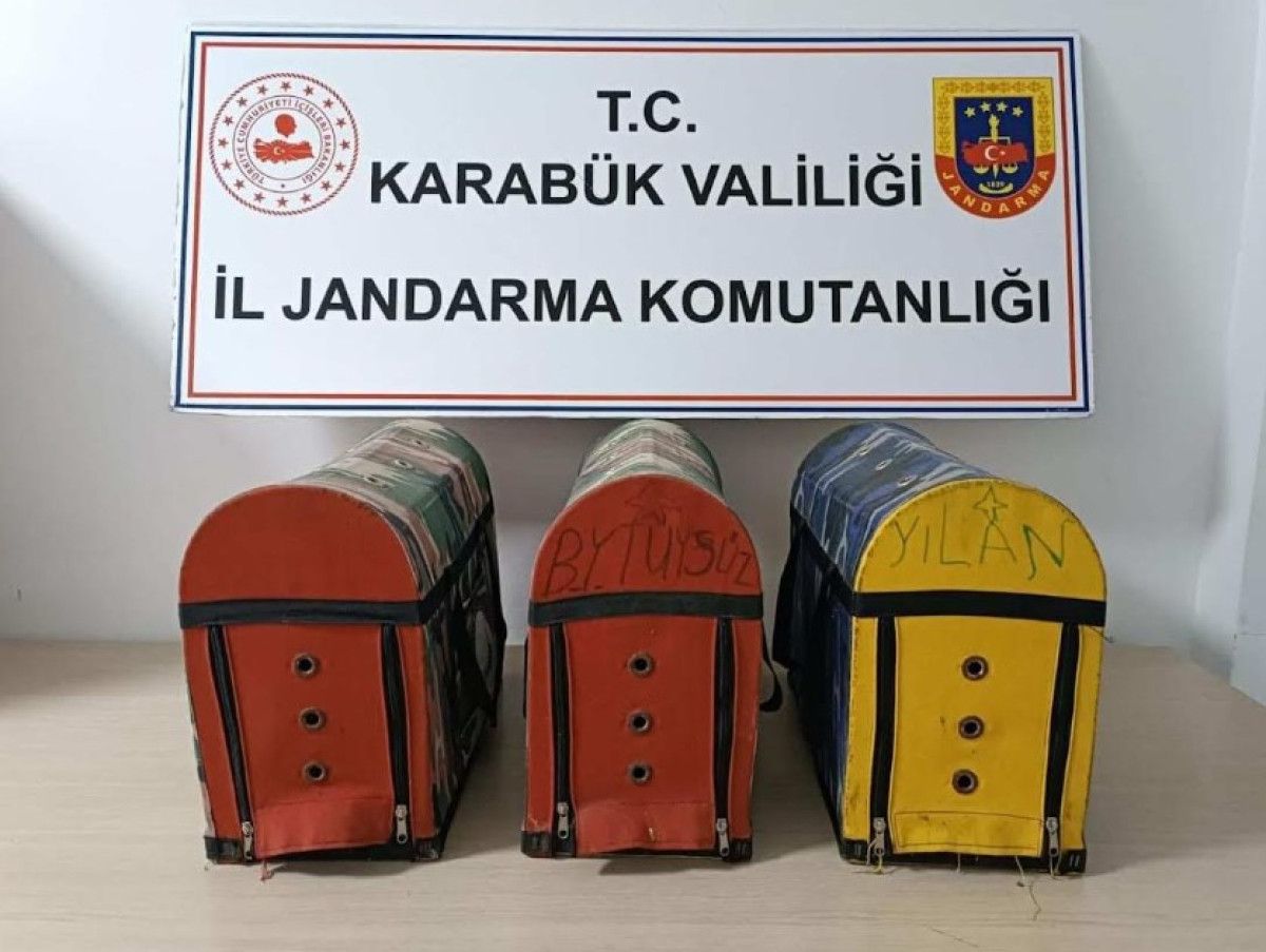 karabukte horoz dovusturen 26 kisiye 280 bin lira para cezasi 1 7e6AUB2c