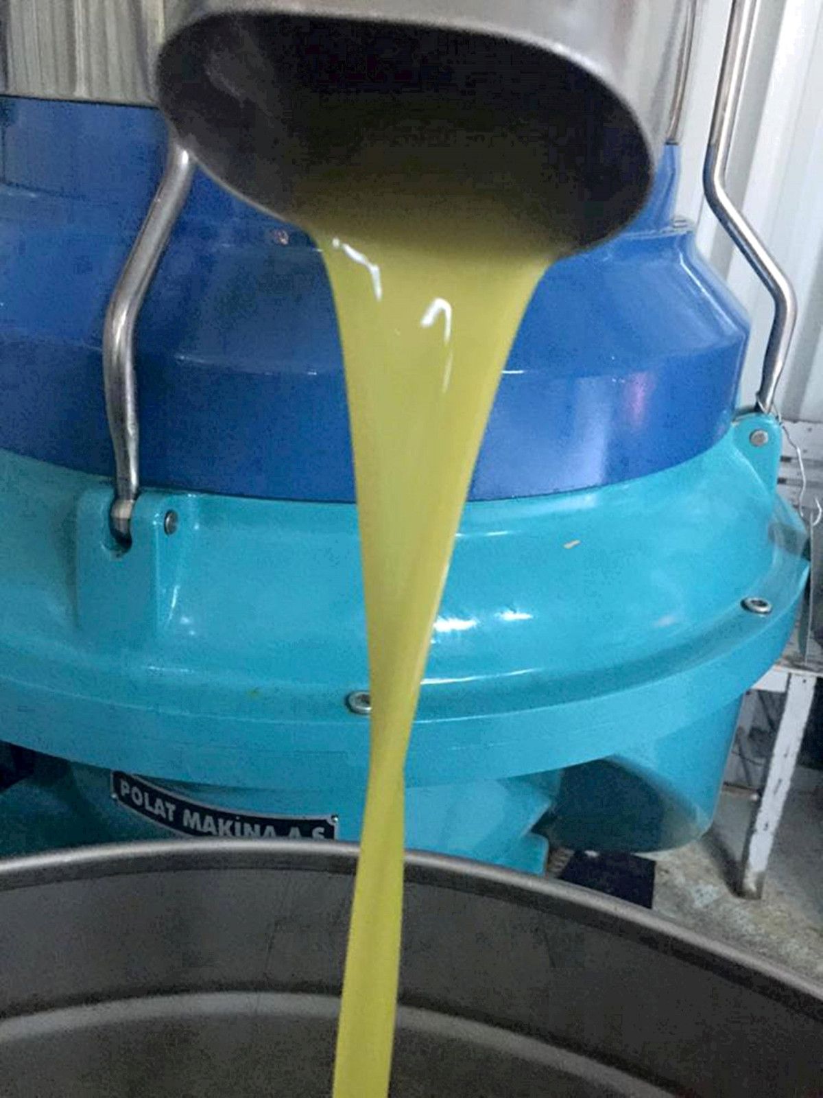 mersinden 150 bin tonluk zeytin rekoltesi 2 CFYdLLNk